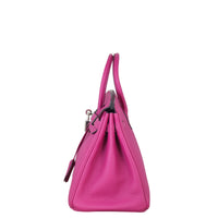 Hermes Birkin 25 Togo