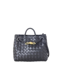 Bottega Veneta Intrecciato Andiamo Small