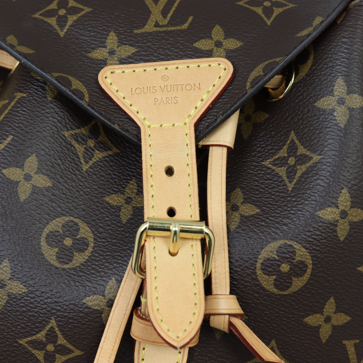 Louis Vuitton Montsouris NM Backpack Monogram
