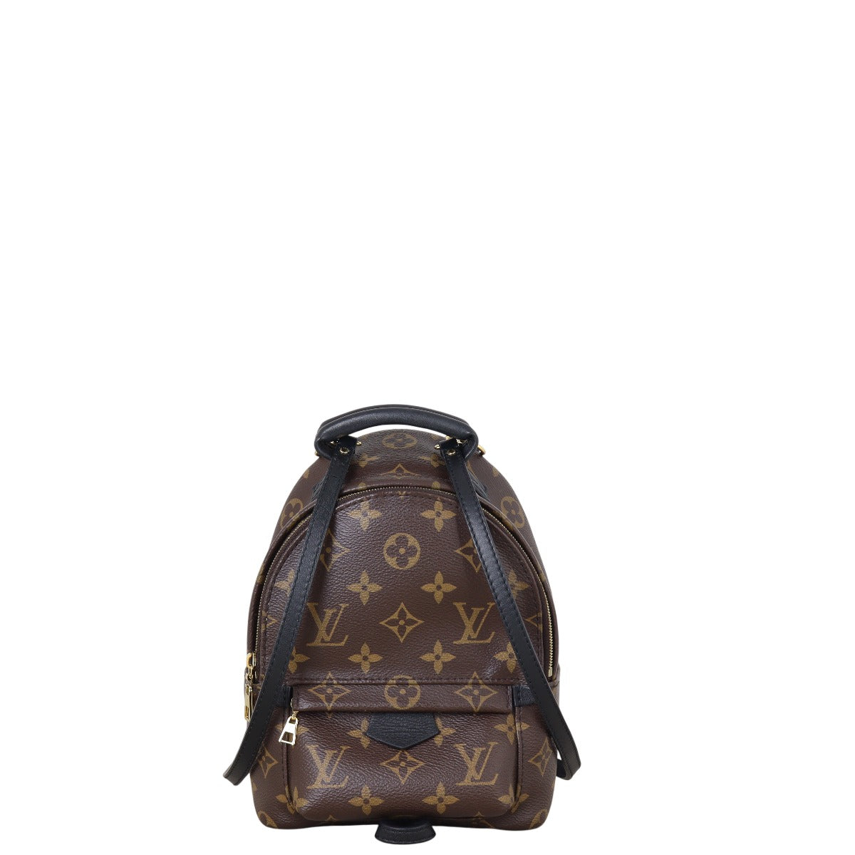 Louis Vuitton Palm Springs Mini Backpack Monogram