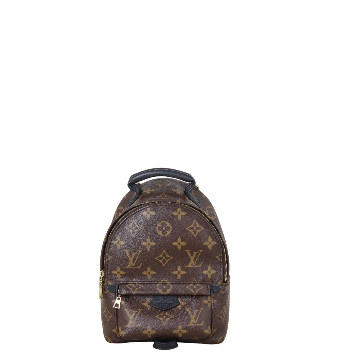 Louis Vuitton Palm Springs Mini Backpack Monogram