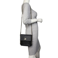 Chanel Quilted Hobo Mini