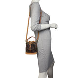 Louis Vuitton Nano Noe Monogram