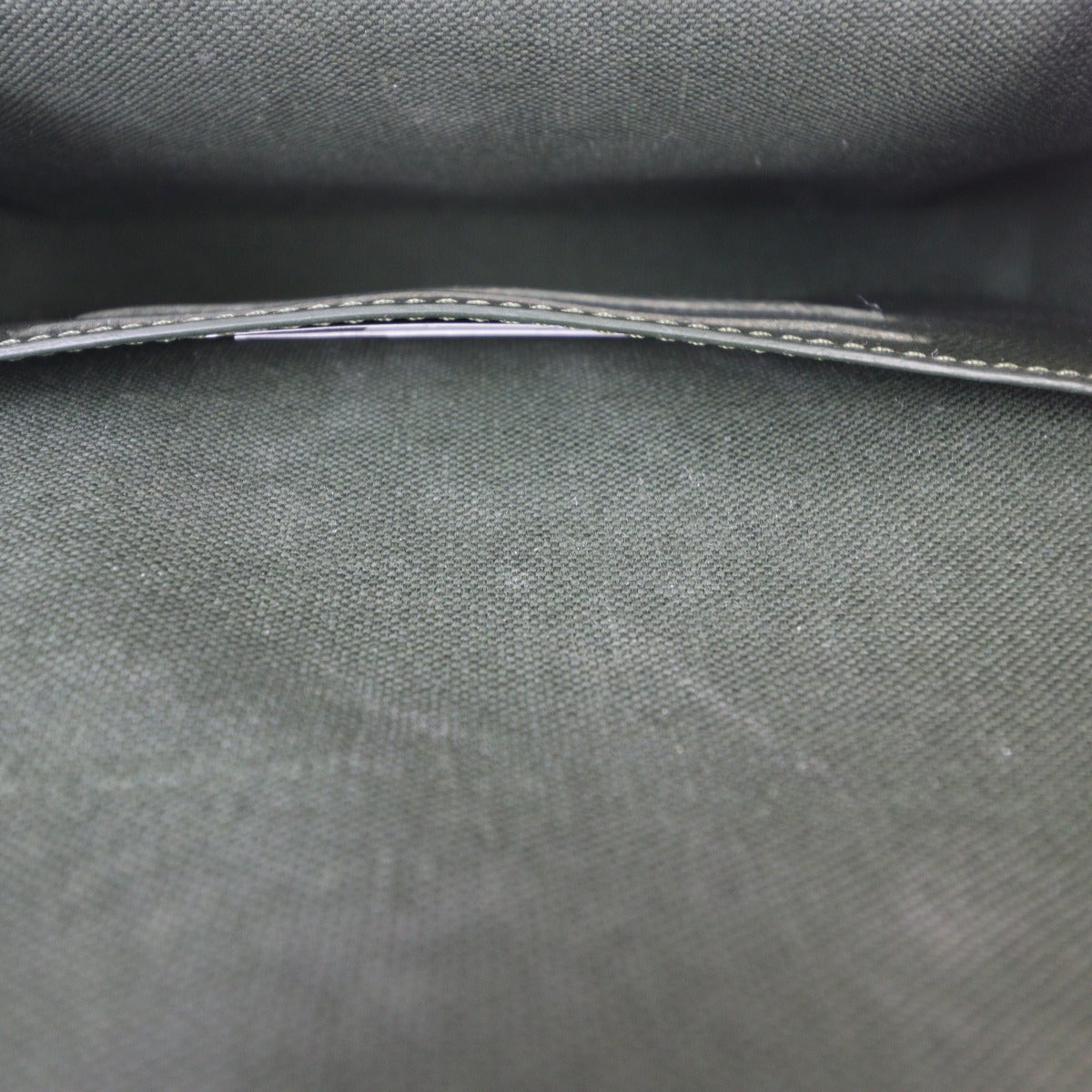 Louis Vuitton Felicie Strap & Go Monogram