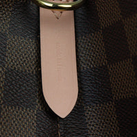 Louis Vuitton NeoNoe Damier Ebene