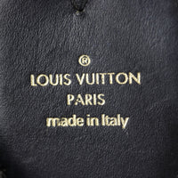 Louis Vuitton Flower Hobo Monogram