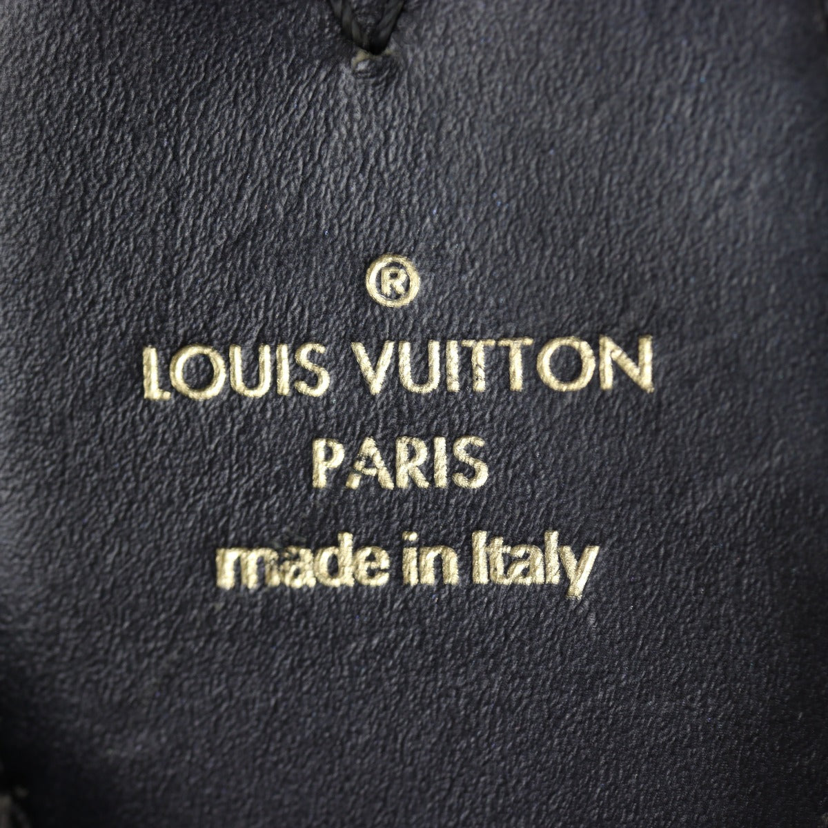 Louis Vuitton Flower Hobo Monogram