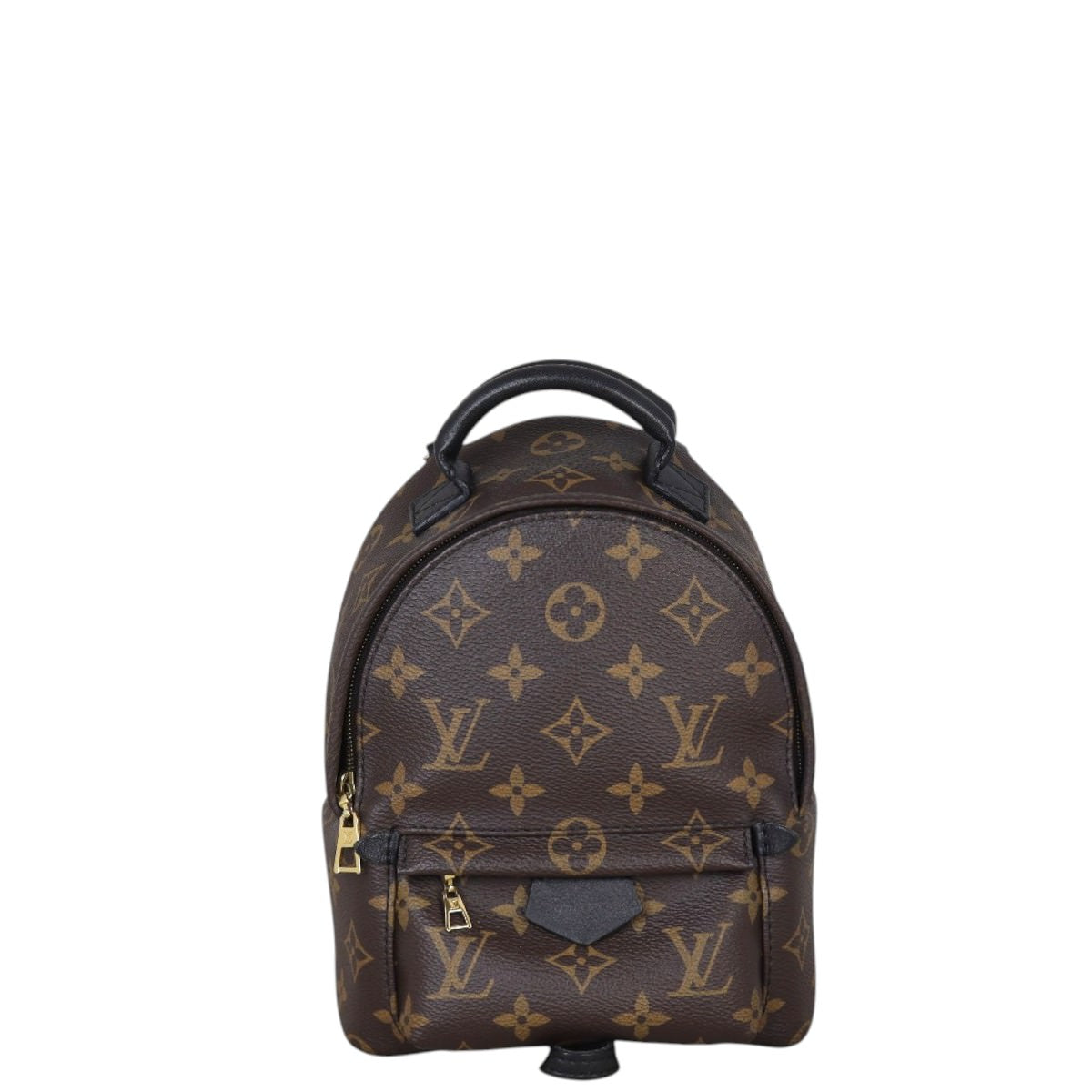 Louis Vuitton Palm Springs Mini Backpack Monogram