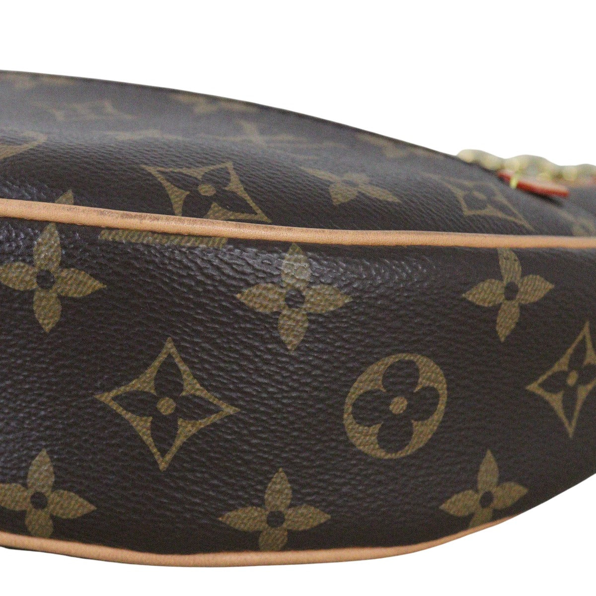 Louis Vuitton Loop PM Monogram