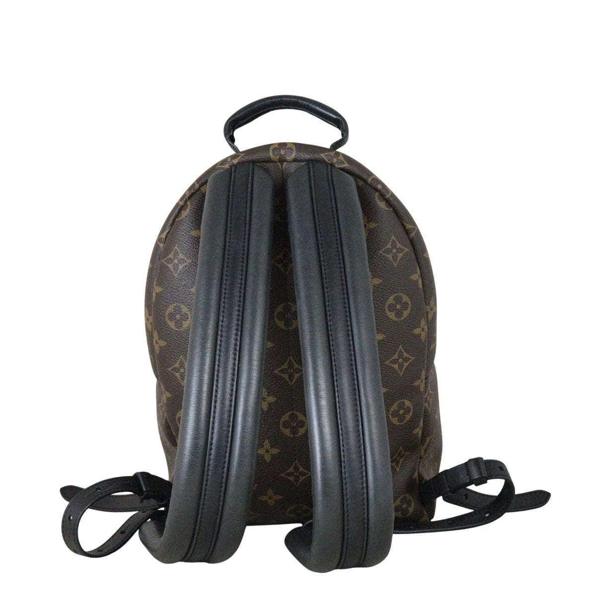 Louis Vuitton Palm Springs Backpack PM Monogram