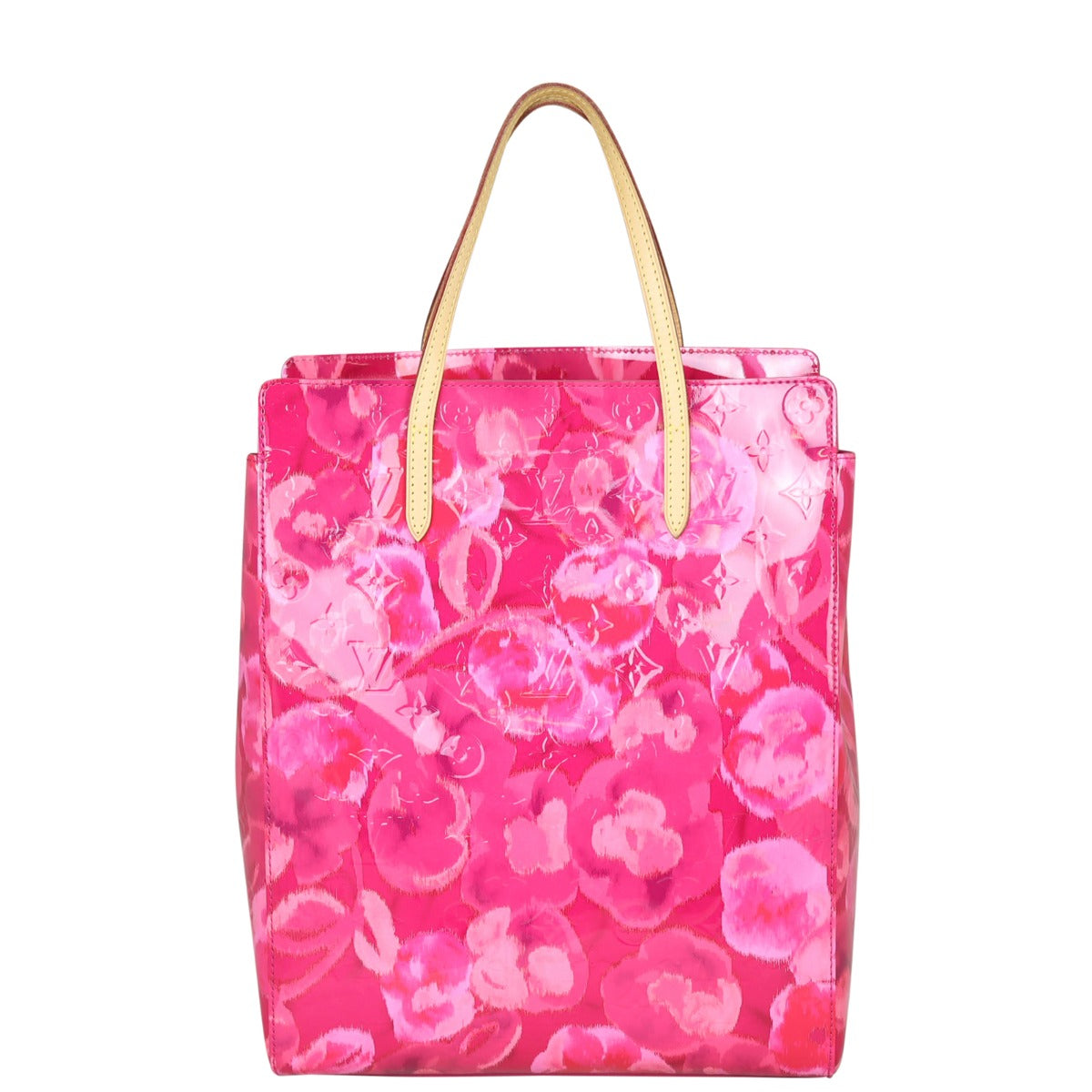 Louis Vuitton Catalina NS Monogram Vernis Ikat Back
