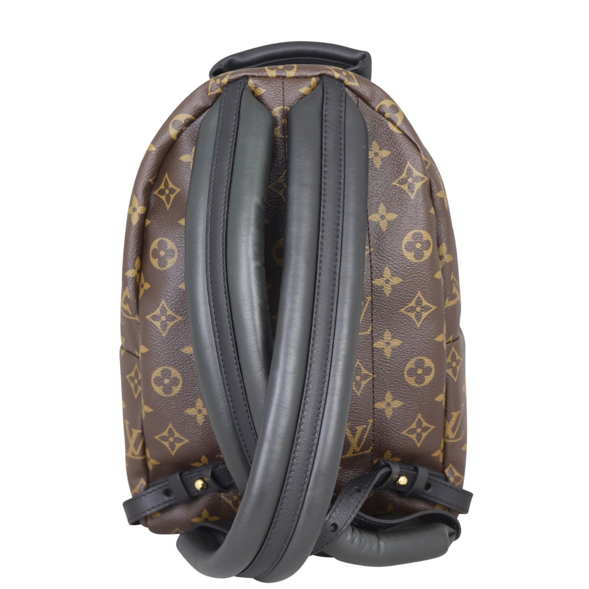 Louis Vuitton Palm Springs Backpack PM Monogram Back
