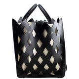 Celine Cutout Phantom Luggage Tote Medium side