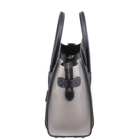 Celine Micro Luggage Tote Side