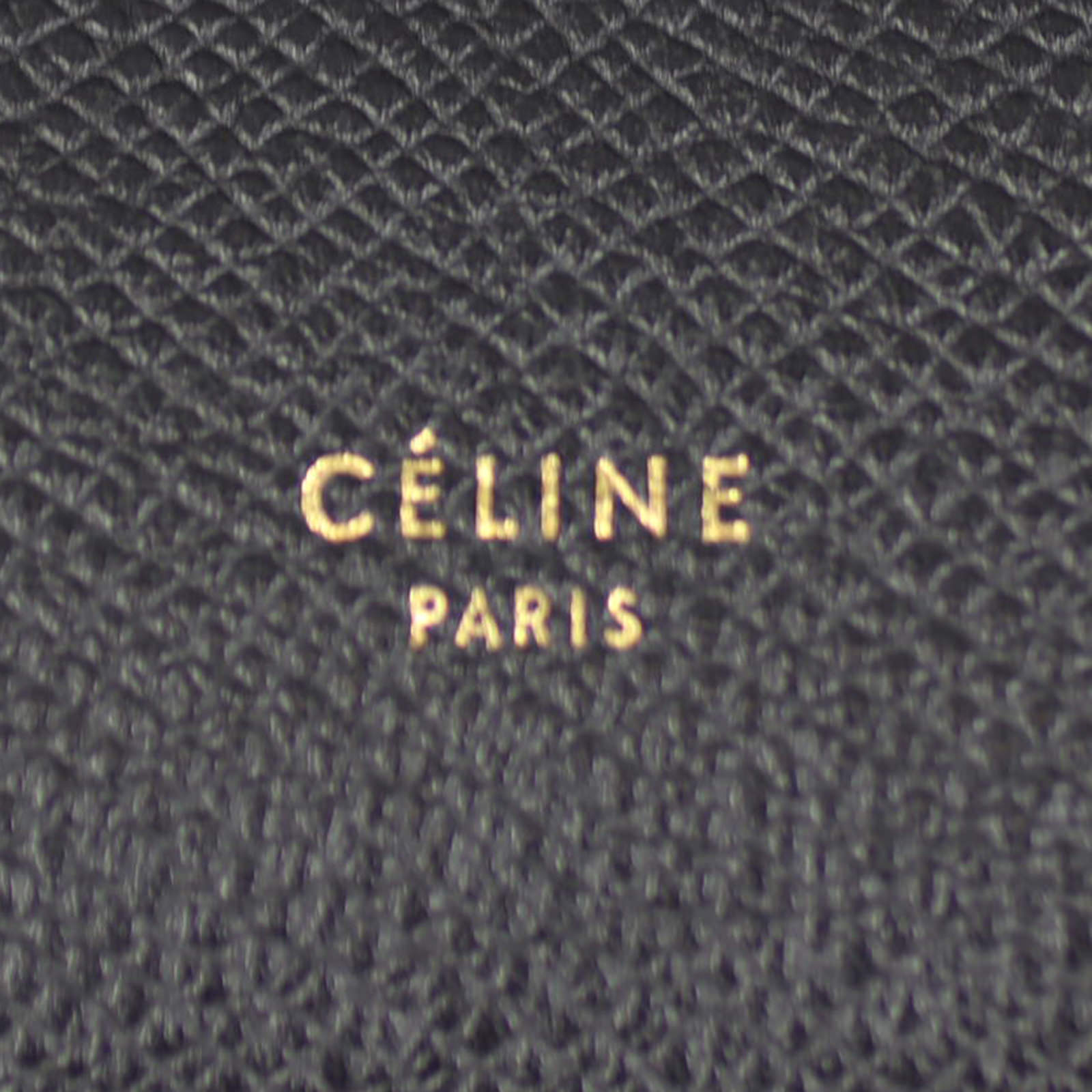 Celine Mini Belt Bag Exterior