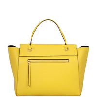 Celine Mini Belt Bag Back