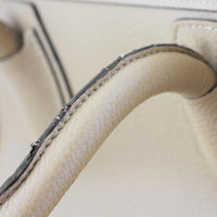 Celine Mini Luggage Tote Dune Handle