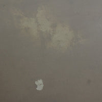 Celine Mini Luggage Tote Stains