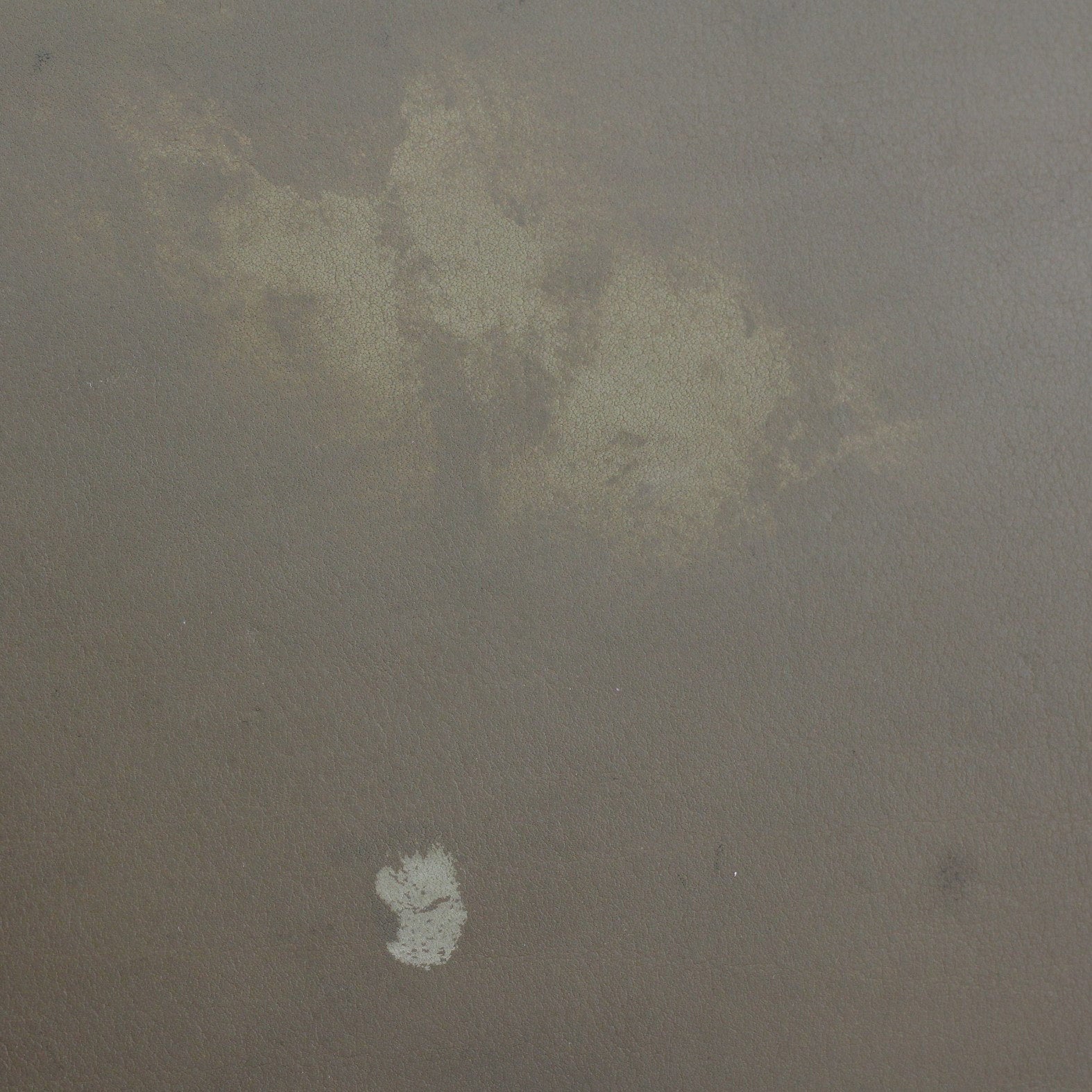 Celine Mini Luggage Tote Stains