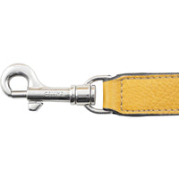 Celine Trapeze Medium Strap