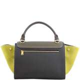 Celine Trapeze Tricolour Small Back