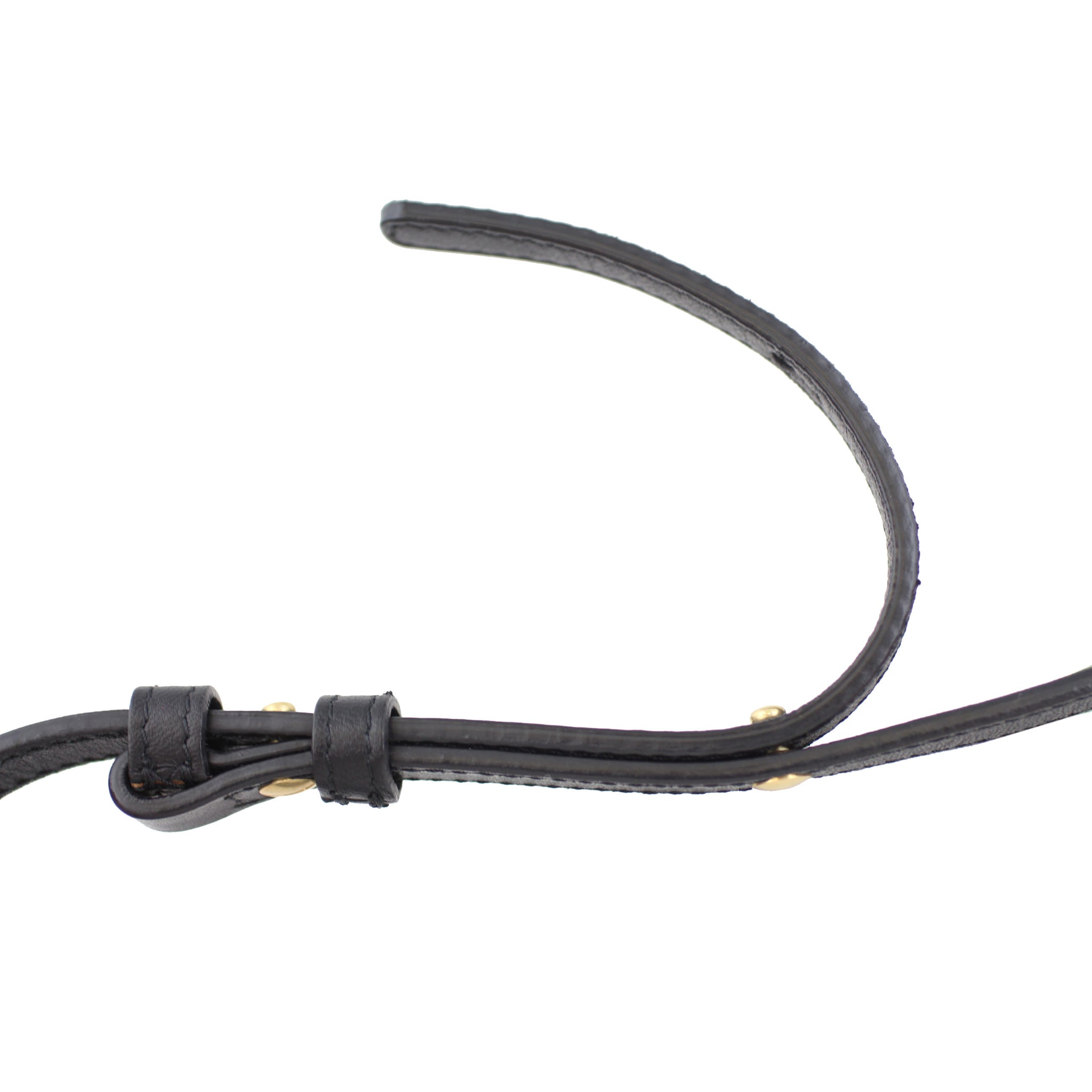 Celine Trio Small Strap