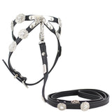 Chanel Camellia Pet Harness and Lead Full
