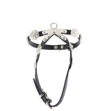 Chanel Camellia Pet Harness and Lead Top