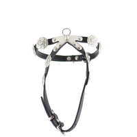 Chanel Camellia Pet Harness and Lead Top