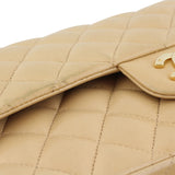 Chanel Classic Double Flap Medium Flap Stains