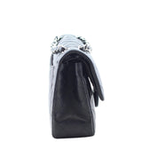 Chanel Classic Double Flap Bag Small side2