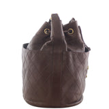 Chanel Cosmos Bucket Bag Right