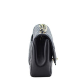 Chanel Quilted Diana Bag Left