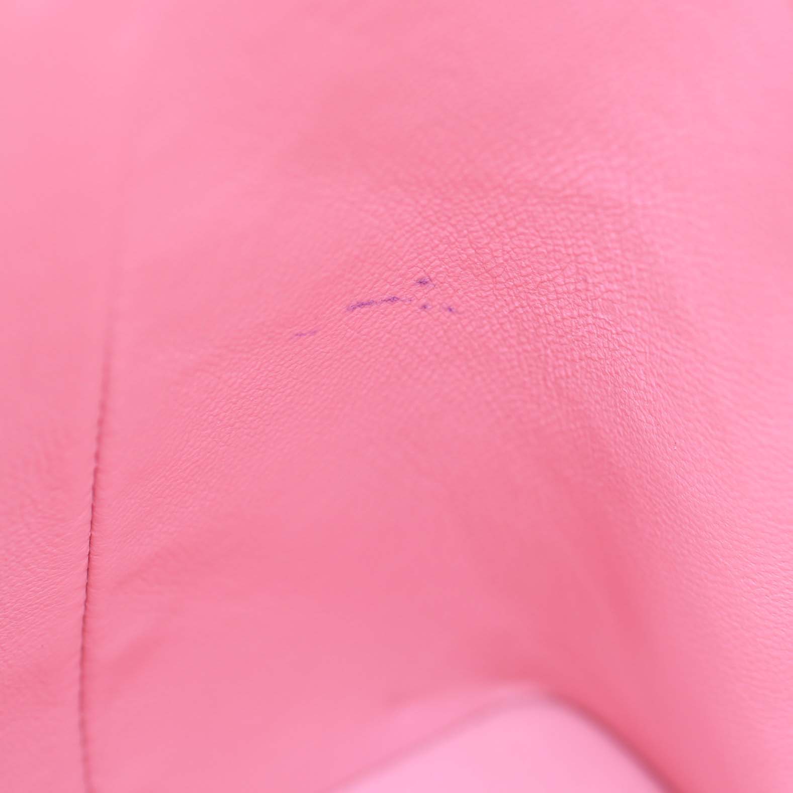 Chanel Medallion Tote Interior Pen mark