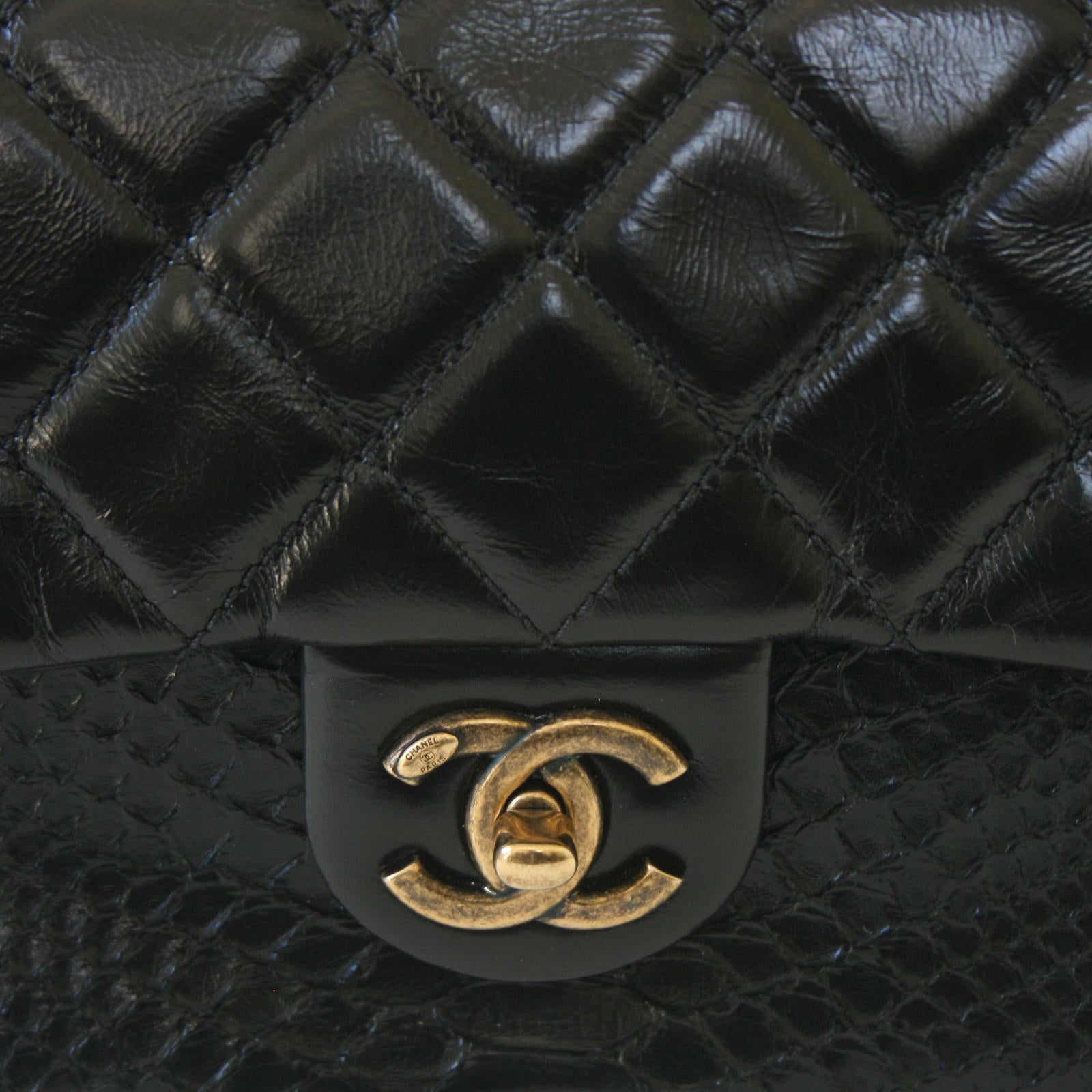 Chanel Python Flap Bag Leather