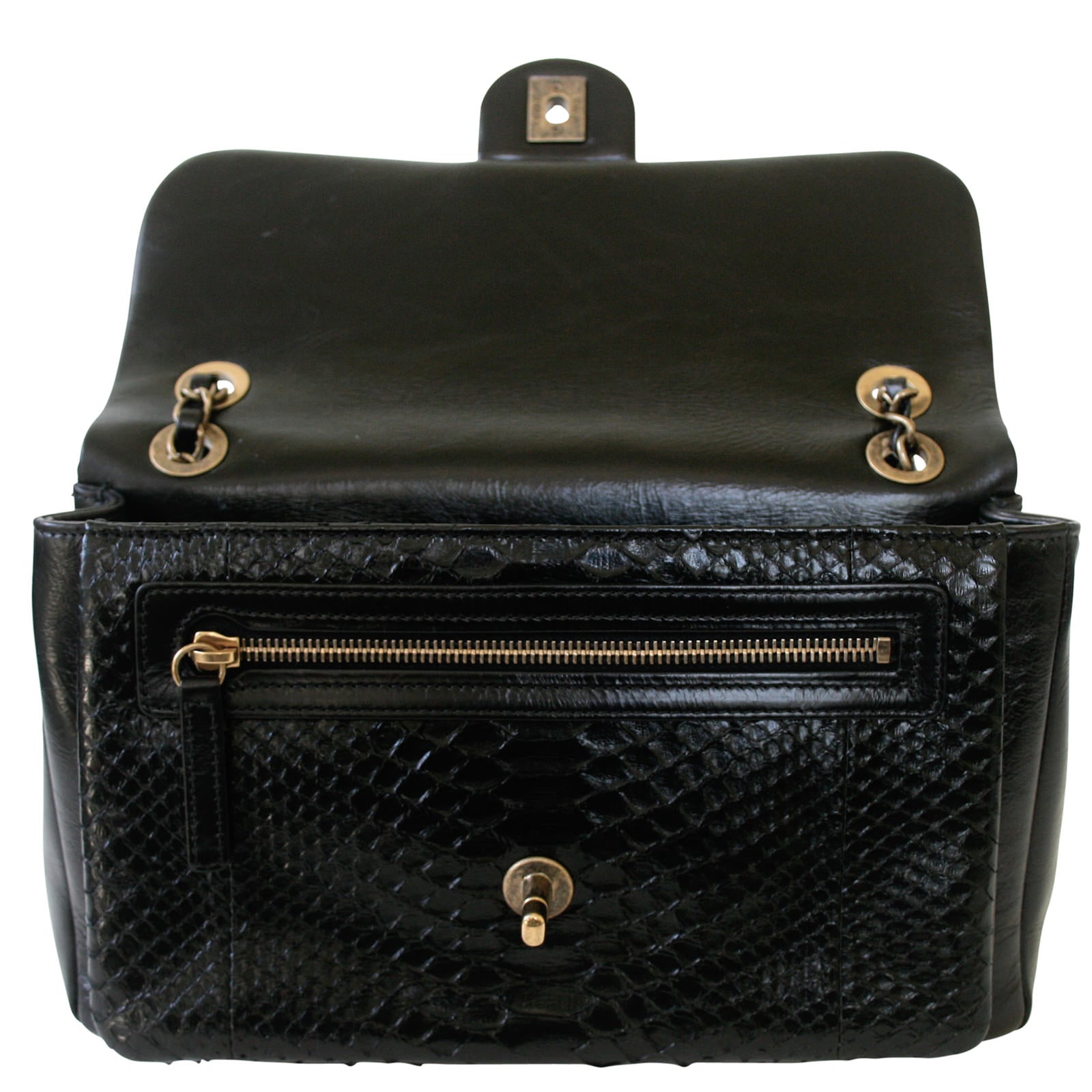 Chanel Python Flap Bag Open