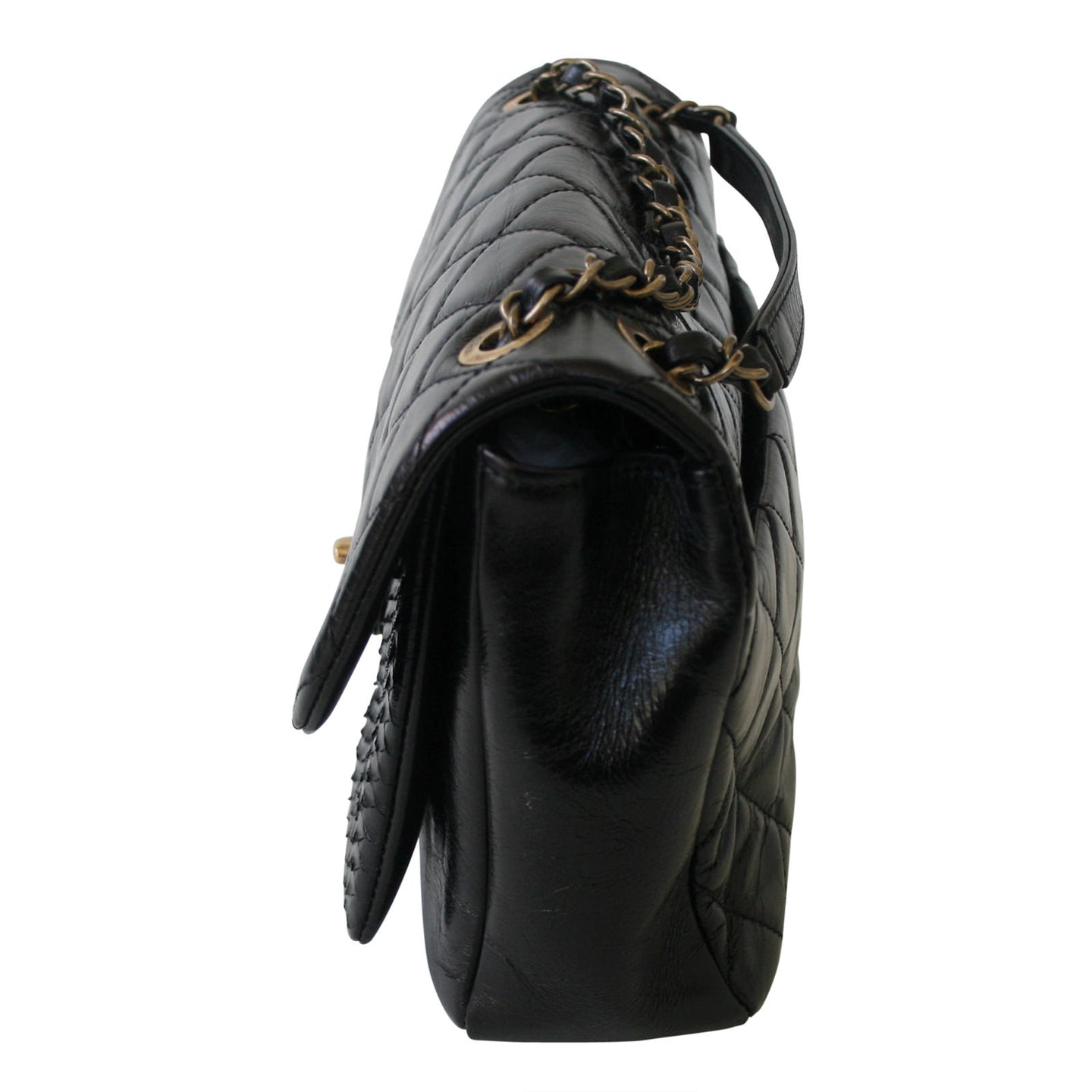 Chanel Python Flap Bag Side