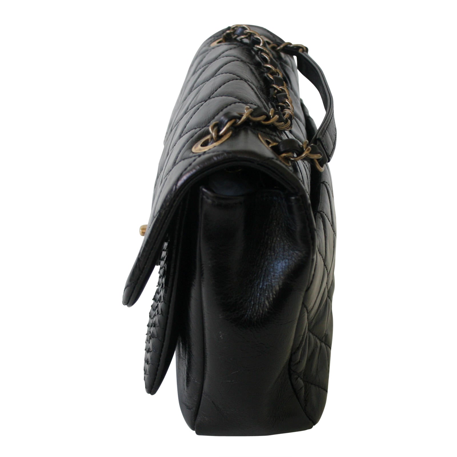 Chanel Python Flap Bag Side