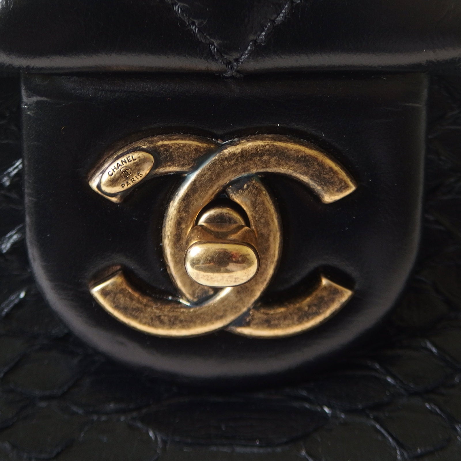Chanel Python Flap Bag Turnlock