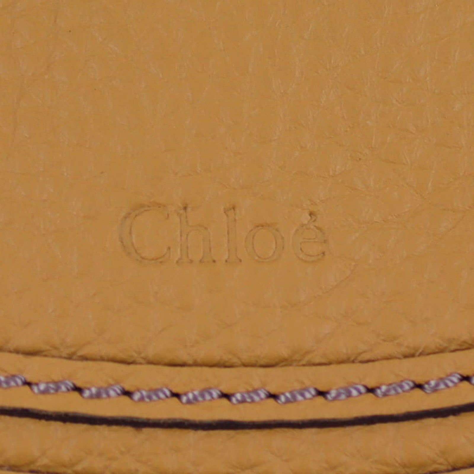 Chloe Marcie Hobo Bag Exterior