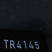 Louis Vuitton Louise PM Epi Electric