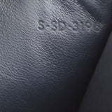 Celine Tricolour Pocket Envelope Wallet on Chain Date code