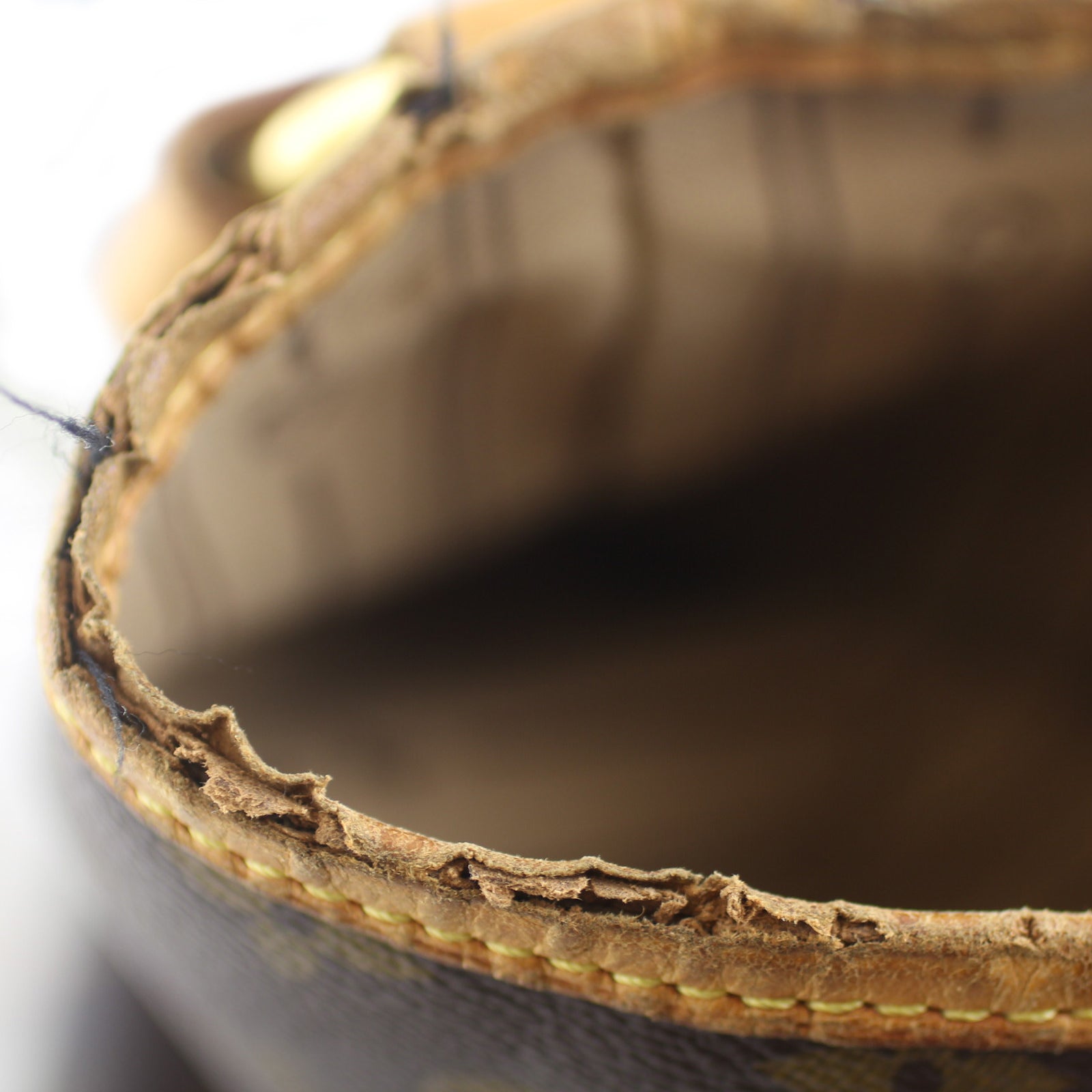 Louis Vuitton Delightful PM Bag 