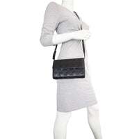 Dior Cannage Crossbody Mannequin