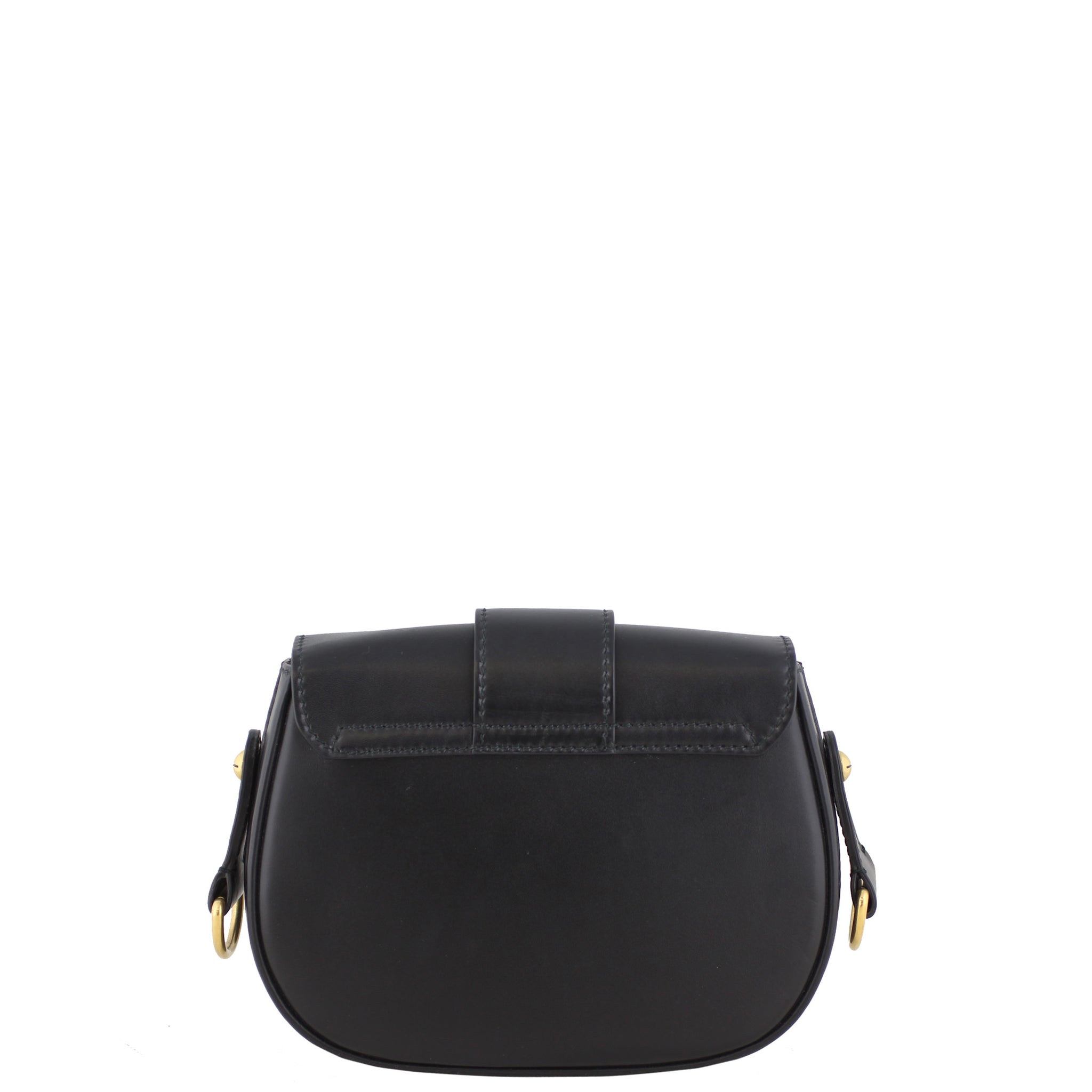 Dior D-Fence Saddle Bag Back
