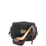 Dior D-Fence Saddle Bag Scale