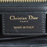 Dior D-Fence Saddle Bag Stamp