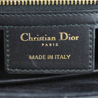 Dior D-Fence Saddle Bag Stamp
