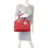 Dior Granville Polochon Satchel Mannequin
