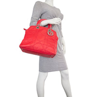Dior Granville Tote Mannequin